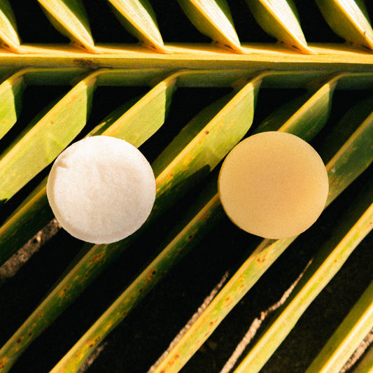 Plastic free solid shampoo and conditioner bars built for surf travel. Repairs sun and salt damaged hair. Hair care for surfers.