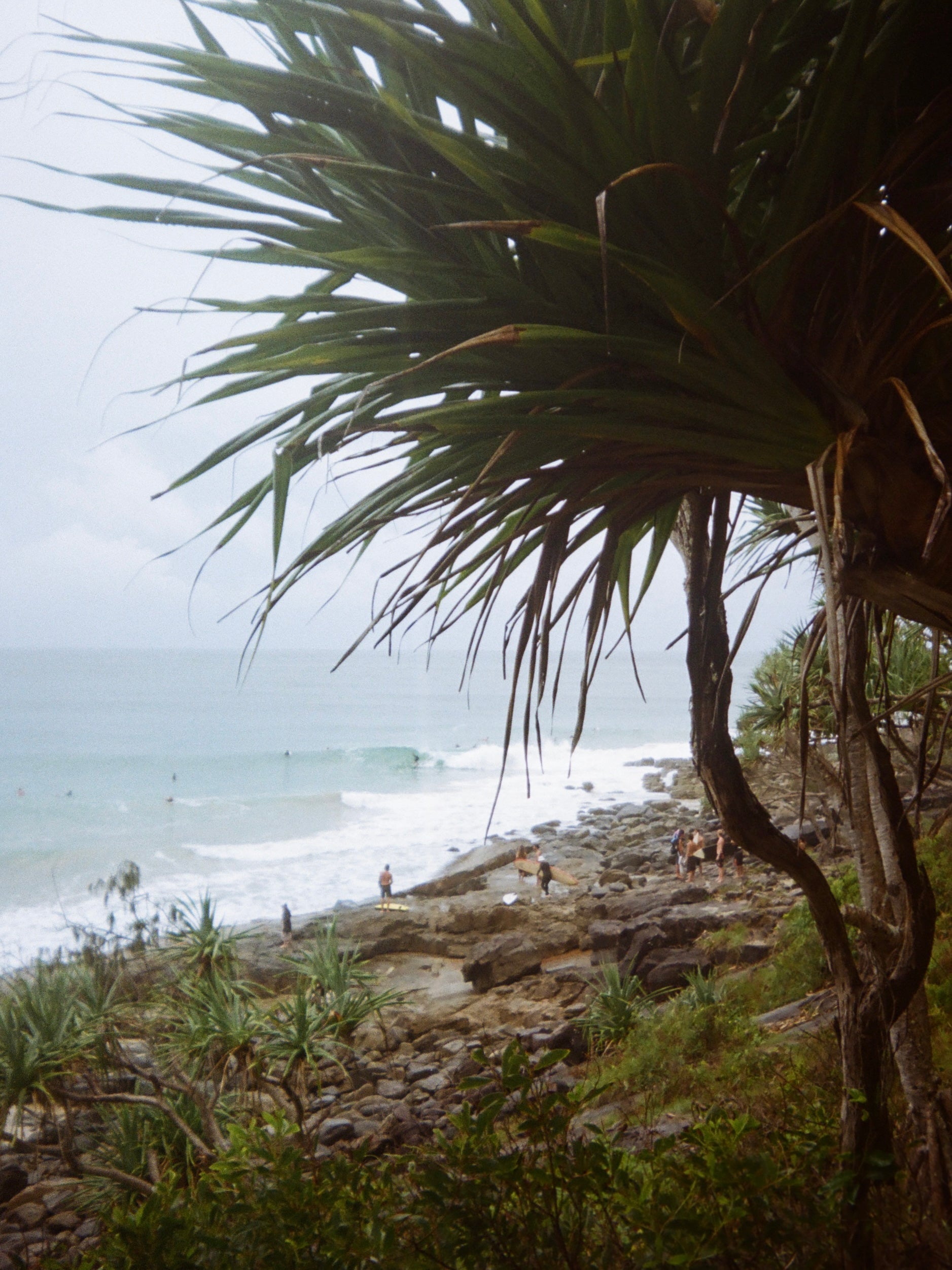 Tropical beach scene in Noosa, Australia with surfers surfing and holding surfboards.