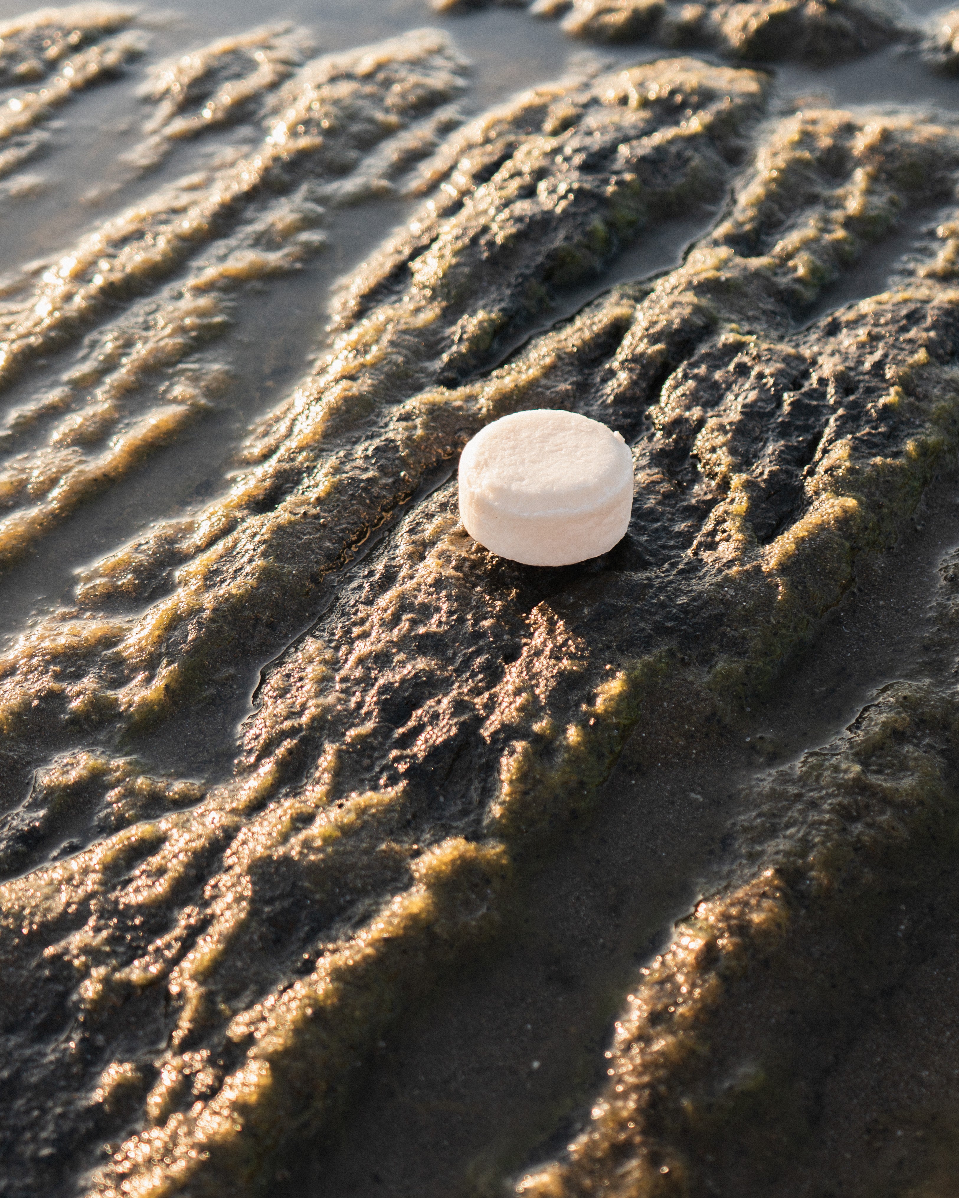 A bar of solid all natural shampoo on the beach at sunset with a coconut scent.