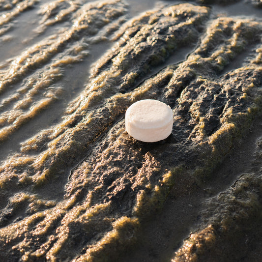A bar of solid all natural shampoo on the beach at sunset with a coconut scent.